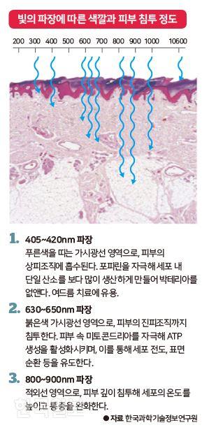 한국일보