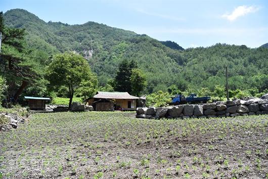 한국일보