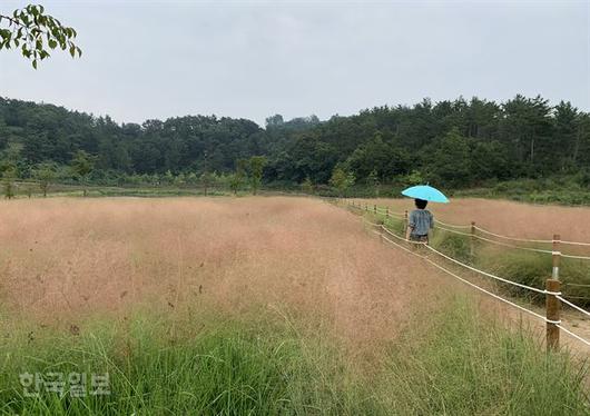 한국일보