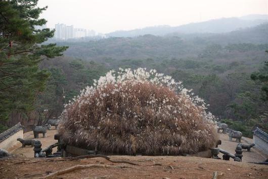 한국일보