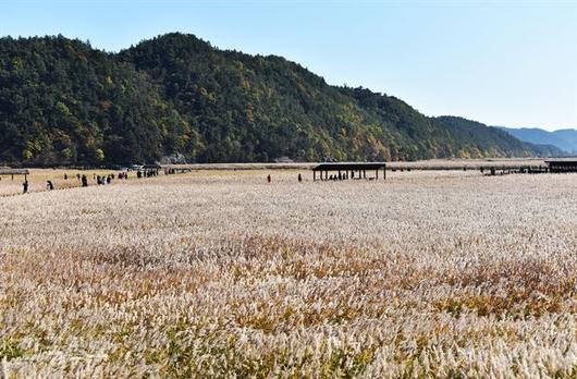 한국일보