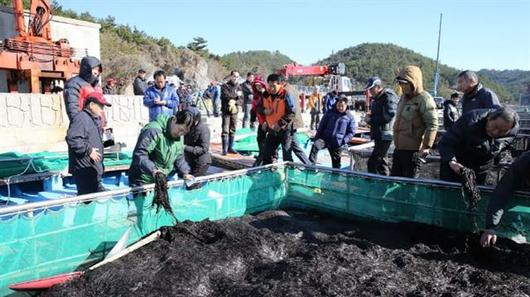 한국일보