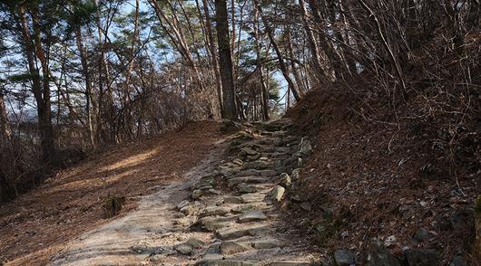 한국일보