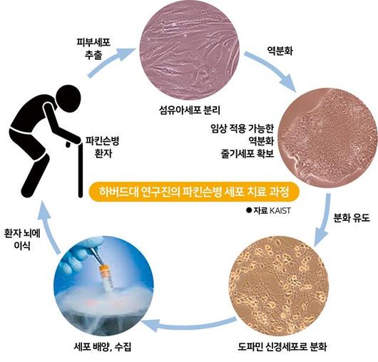 한국일보