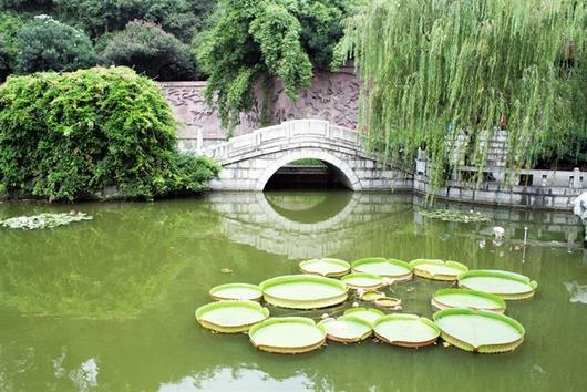 한국일보