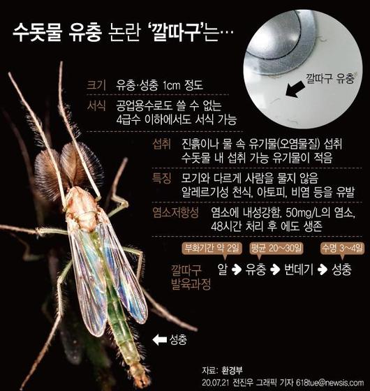 한국일보