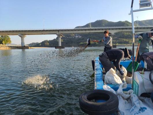 한국일보