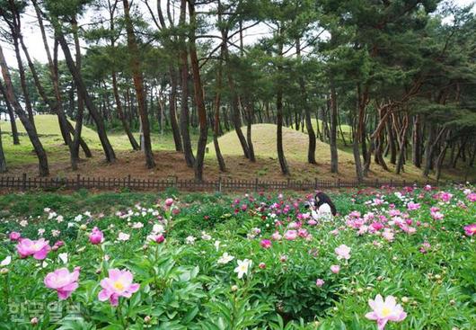 한국일보