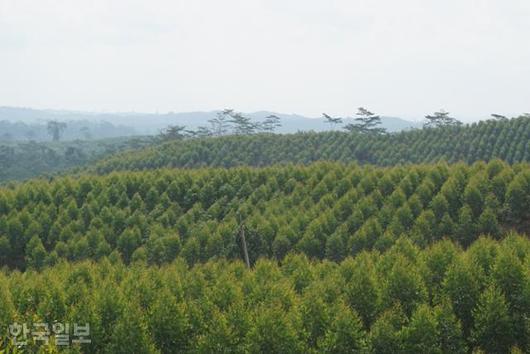 한국일보