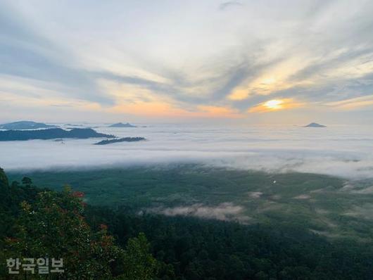 한국일보