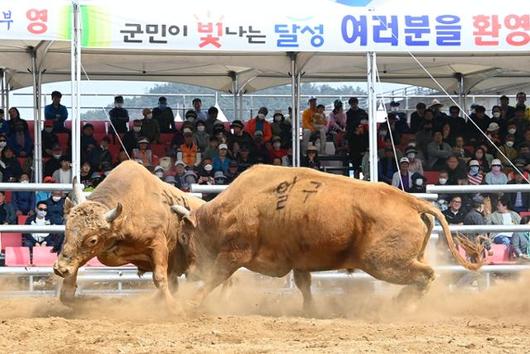 한국일보