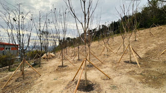 한국일보