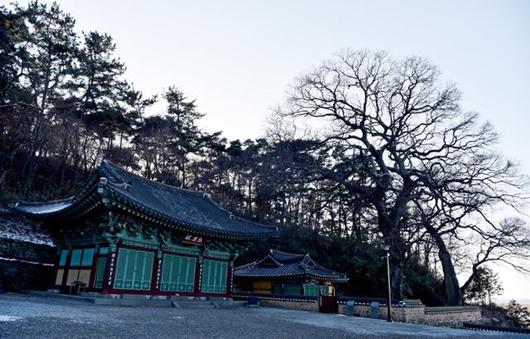 한국일보