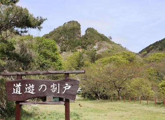 한국일보