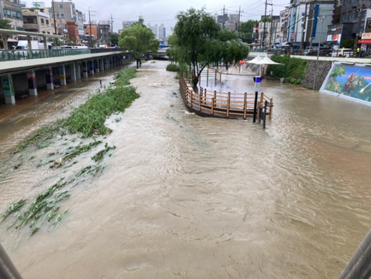 한국일보