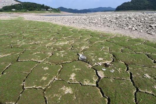 한국일보