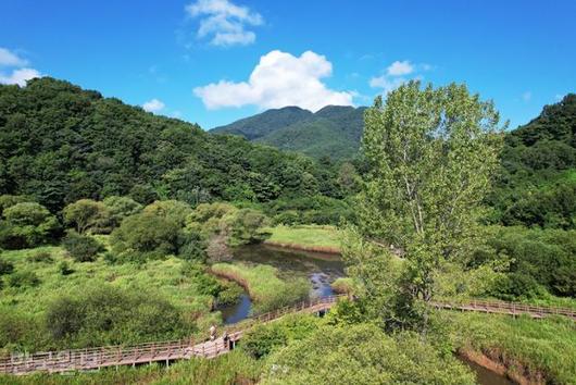 한국일보