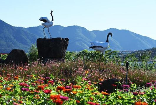 한국일보