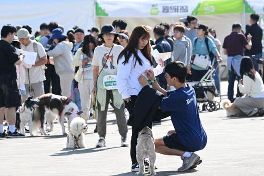 한국일보