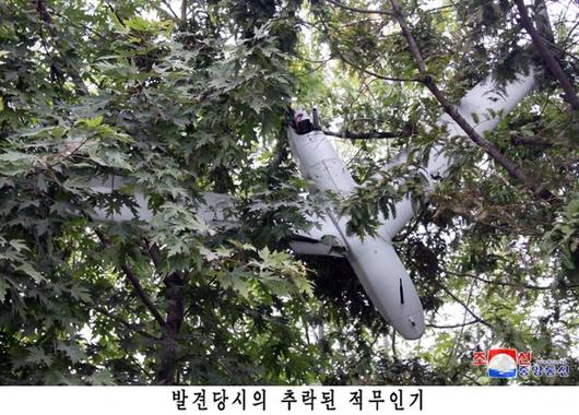 한국일보