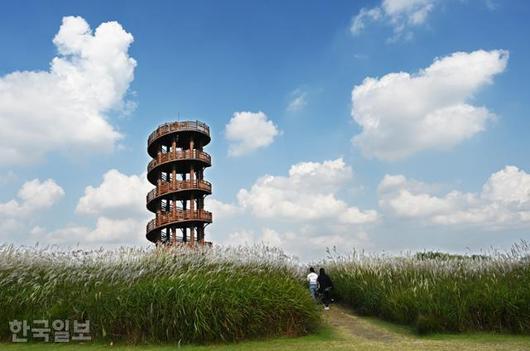 한국일보