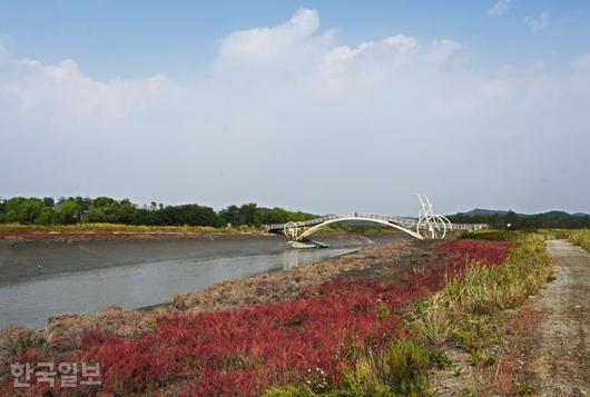 한국일보