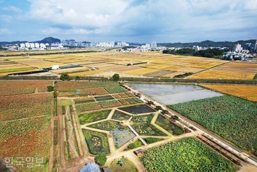 한국일보