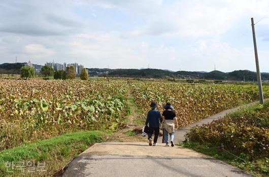 한국일보