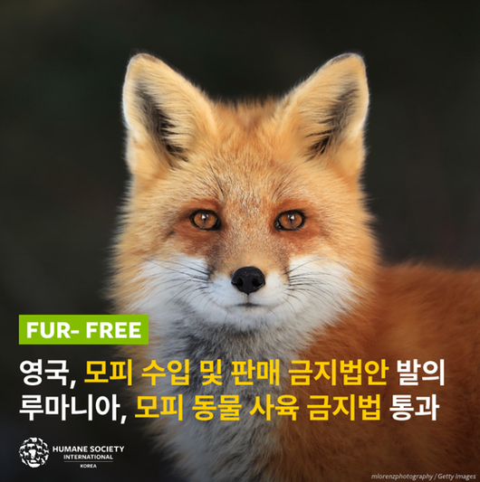 한국일보