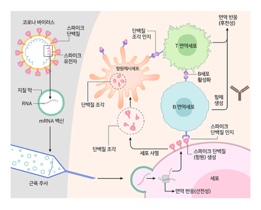 한국일보