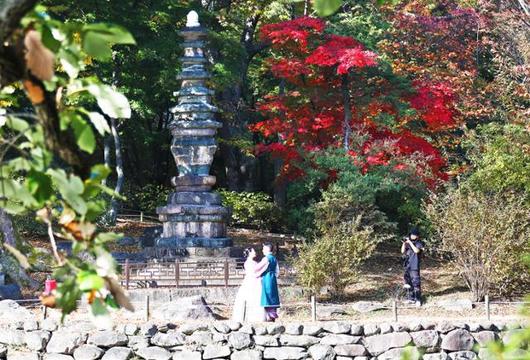 한국일보