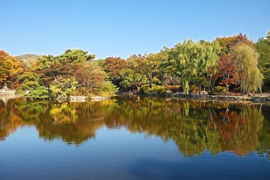 한국일보