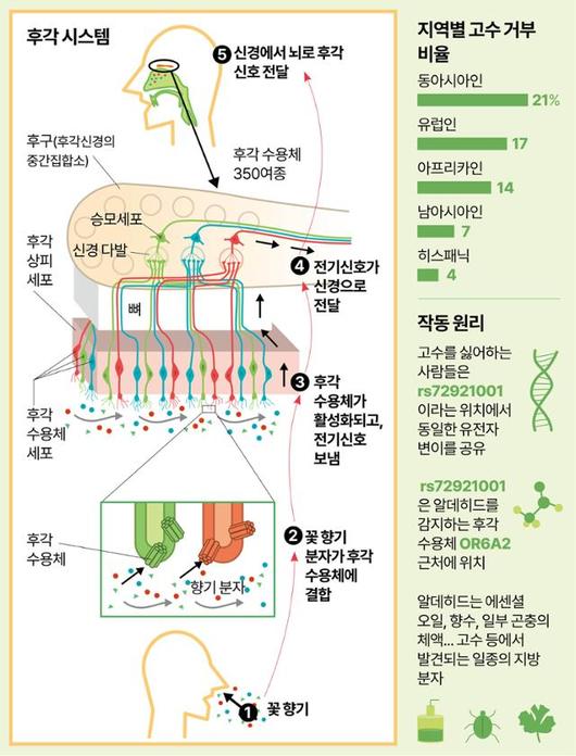 한국일보