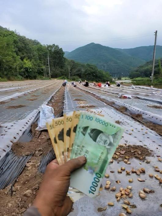 한국일보