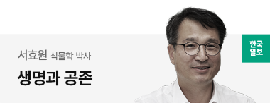 한국일보