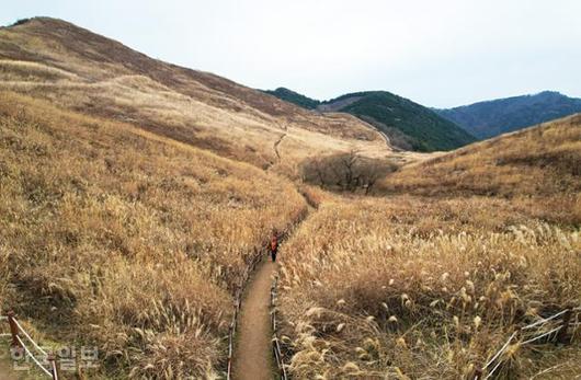 한국일보