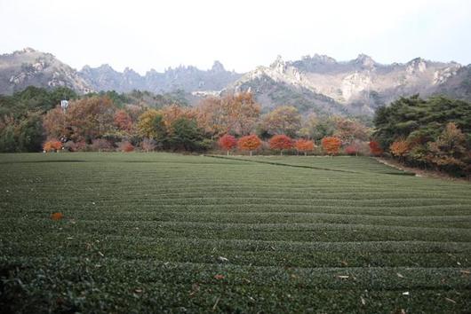 한국일보