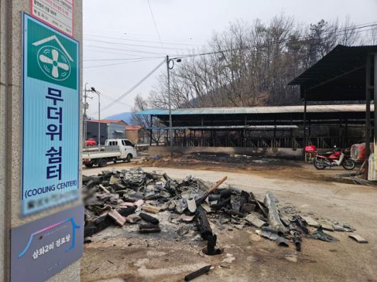 한국일보