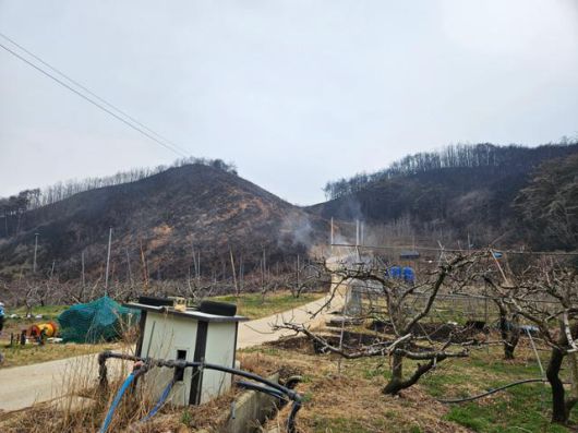 한국일보