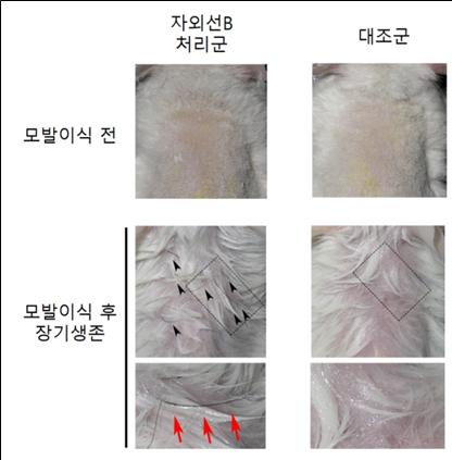 헤럴드경제