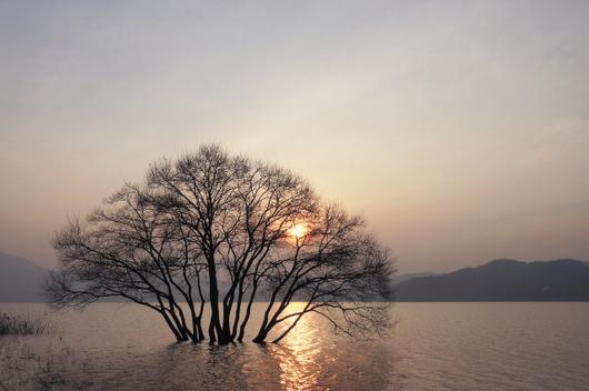 헤럴드경제