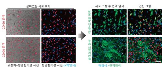 헤럴드경제