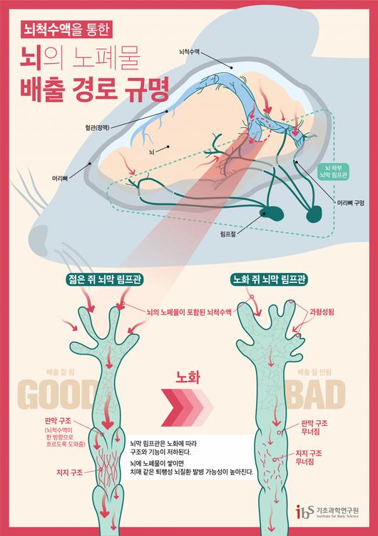 헤럴드경제