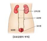 헤럴드경제