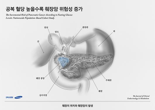 헤럴드경제