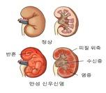 헤럴드경제