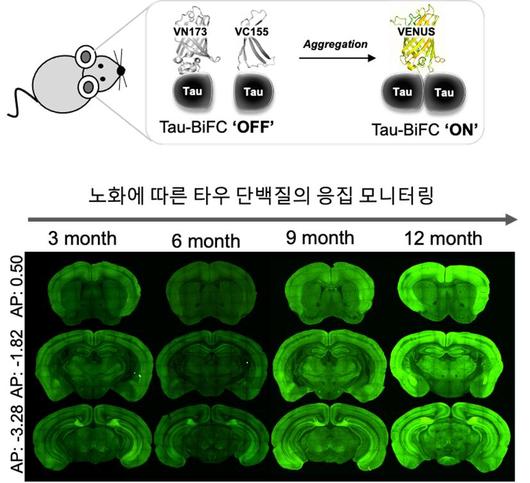 헤럴드경제