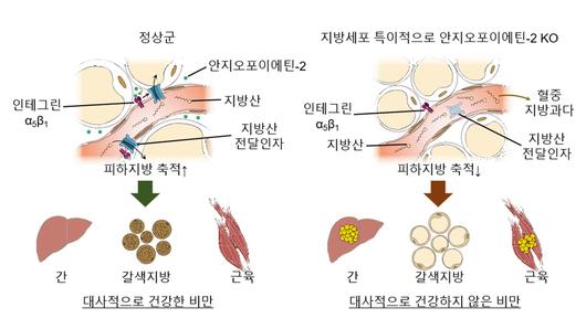 헤럴드경제