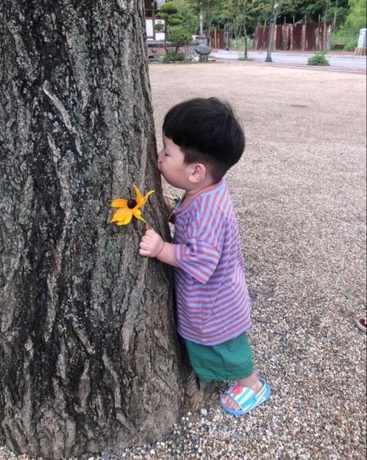 헤럴드경제