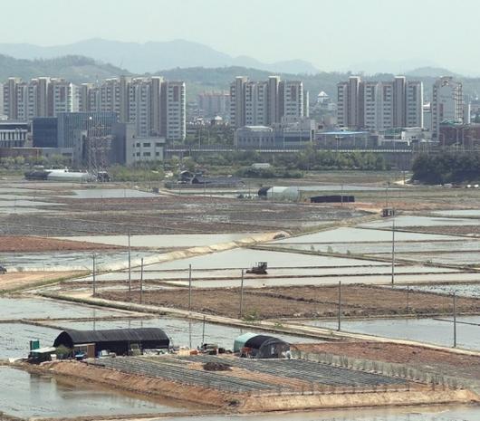 헤럴드경제